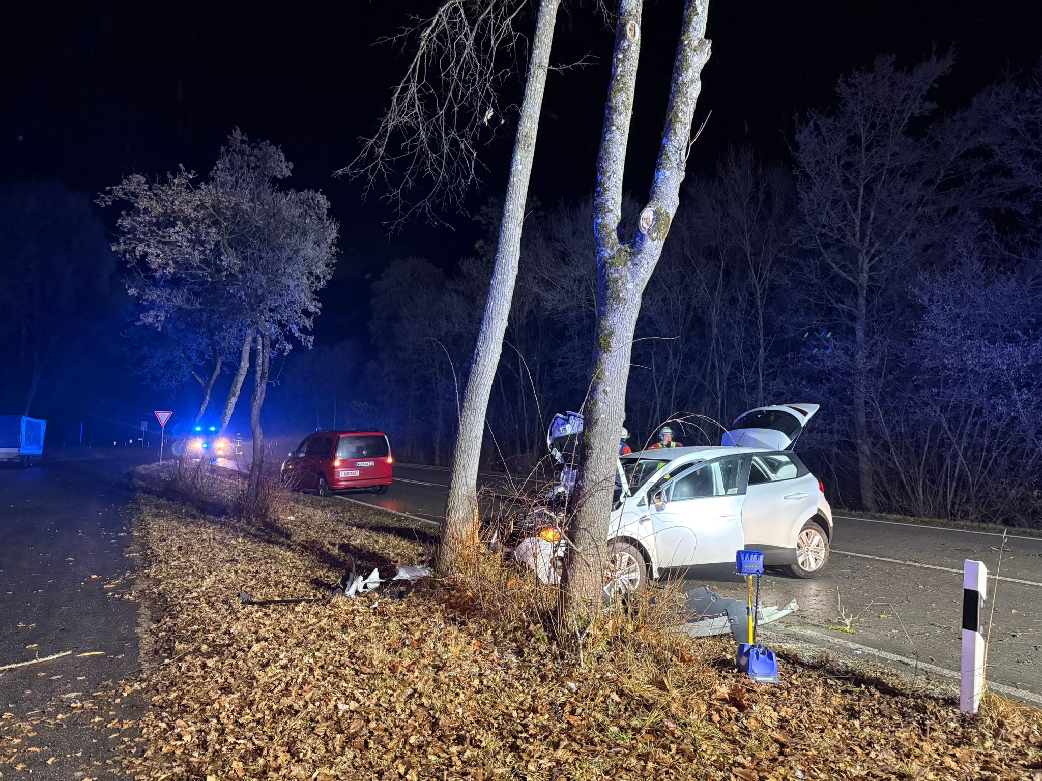 23.12. THL 1 - VU PKW gegen Baum